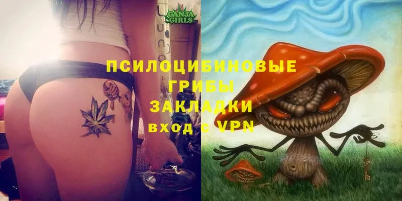 Псилоцибиновые грибы ЛСД  Люберцы 